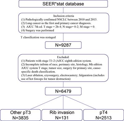 Prognostic relevance of rib invasion and modification of T description for resected NSCLC patients: A propensity score matching analysis of the SEER database